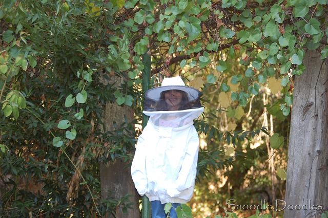 [Beekeepers09110096.jpg]