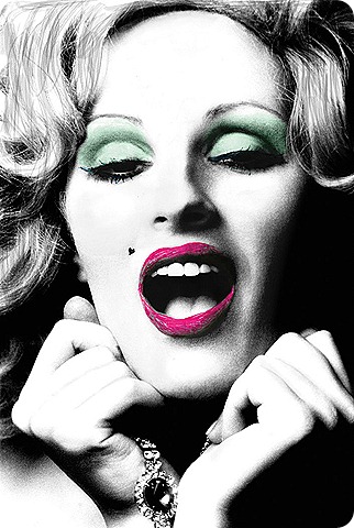 NARS Andy Warhol Beautiful Darling packaging NARS Andy Warhol Beautiful Darling packaging