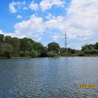 IMG_5565.JPG
