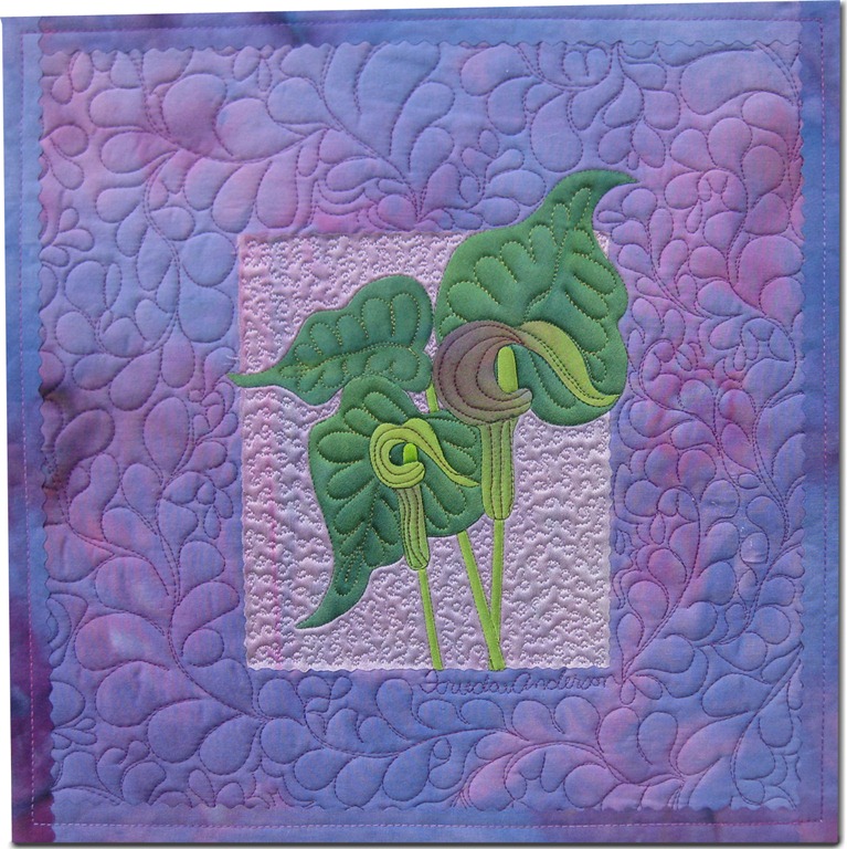 [woodlandtreasureds%255B3%255D.jpg]