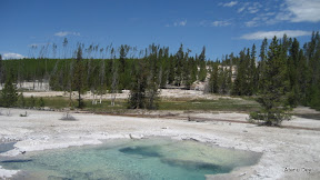 IMG_4045.jpg