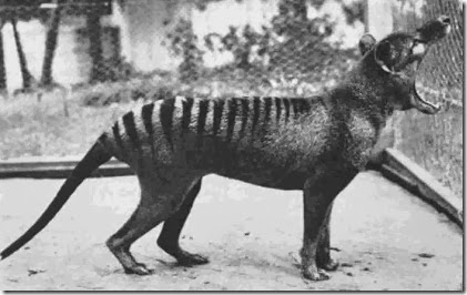 awesome_photos_collected_from_history_08 awesome_photos_collected_from_history_08