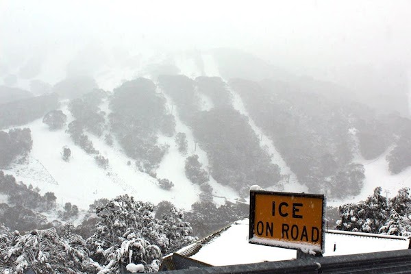 thredbo.jpg