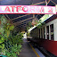 Tropical Plants Everywhere On The Platform At Kuranda - Oak Beach, Australia