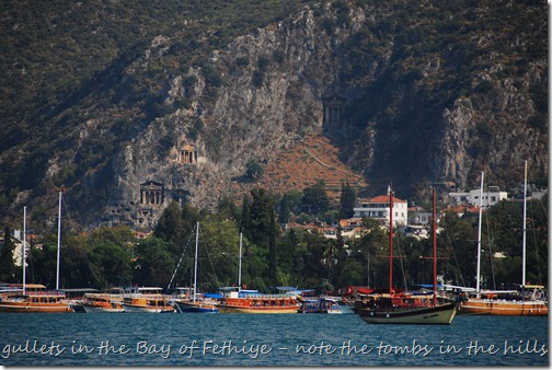 DSC_0575 DSC_0575