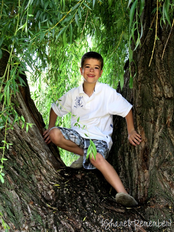 [Brett-tree4.jpg]