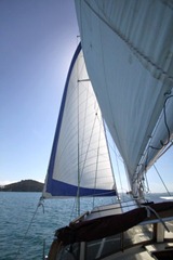 Freewind sailing, Bay of Islands