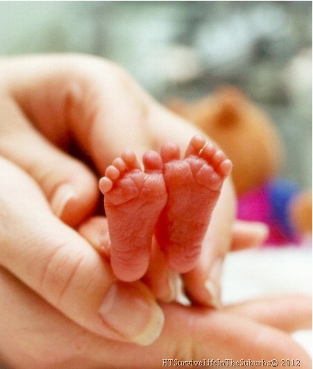 [feetdeneau-adjusted13.jpg]