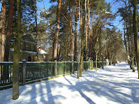 SAM_7089.JPG Photo