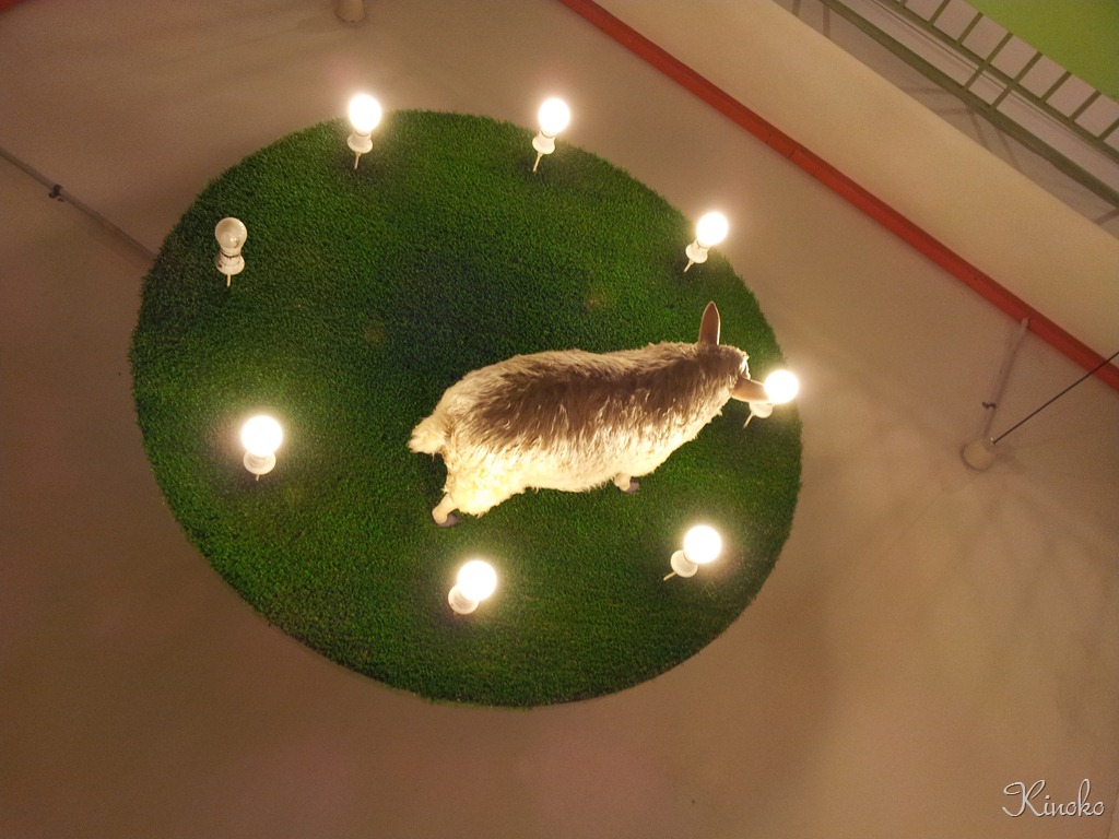 [20130117_21334711.jpg]