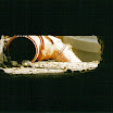 img-Y03124355-0008.jpg