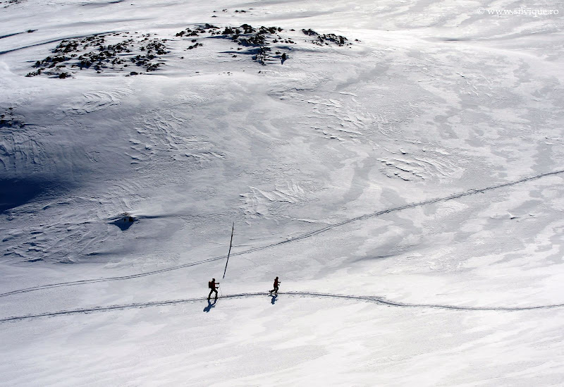 Schi de tura Sinaia-Moeciu