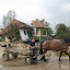 arviz2005_26.jpg