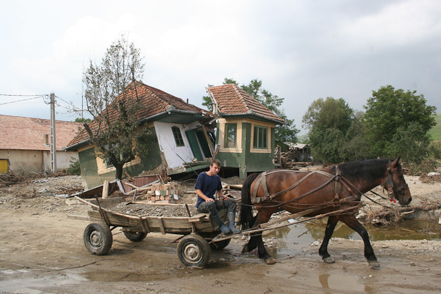 arviz2005_26.jpg