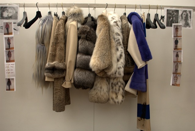trunk 02 trunk 02