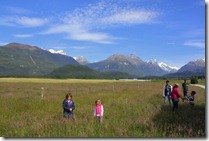 IMG_3575 IMG_3575