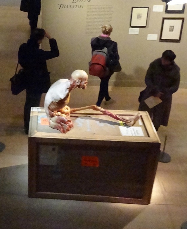 [Wellcome%2520Museum%252006%255B2%255D.jpg]