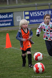 IMG_6639.jpg IMG_6639.jpg