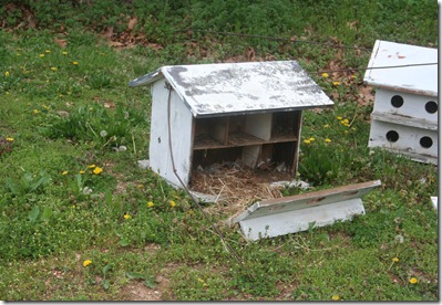 IMG_4424 IMG_4424