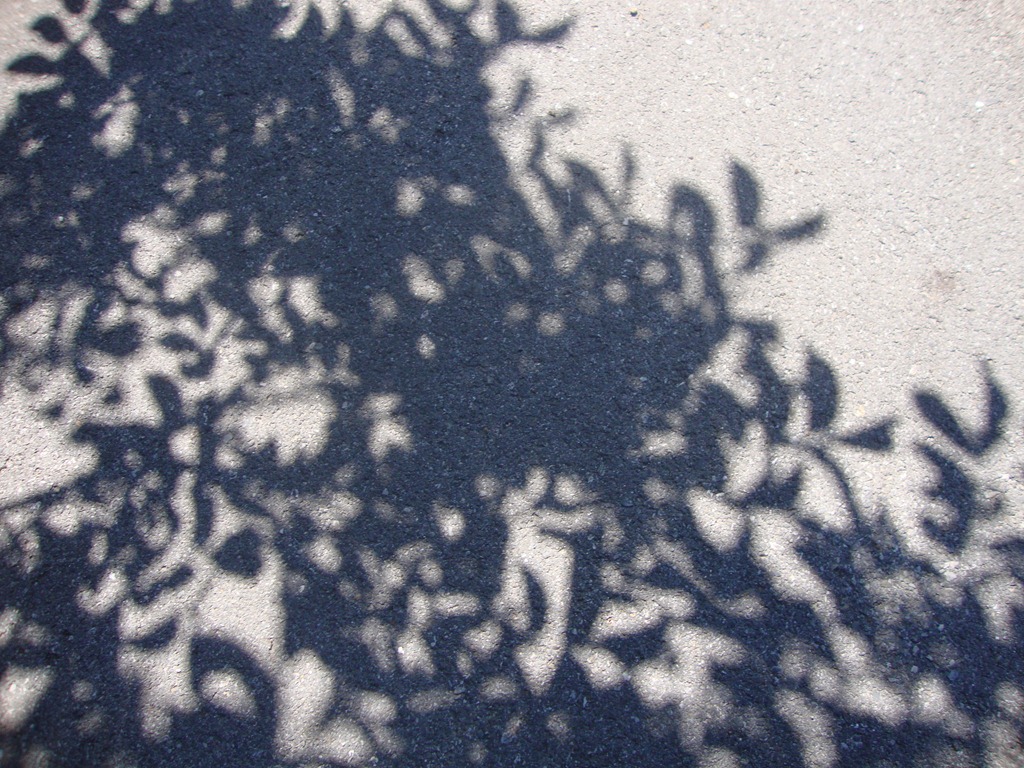 [DSC03788%255B3%255D.jpg]