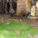 DSC_7130.JPG
