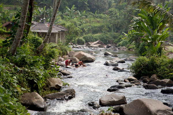 Clean water from Gunung National Park flows down to the nearby village of Bodogol in west Java, Indonesia. Local people use this water for their crops, collecting food, washing clothes and bathing. Photo: Jessica Scranton / Conservation International