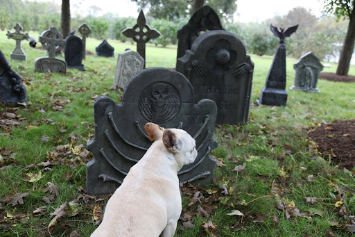 Franny, let me clarify.  The term 'tombstone' originally referred to the actual lid of a stone coffin, and headstone was named because it's a stone placed near the head of the deceased.  But, either one is fine.