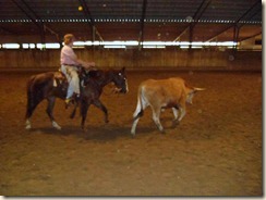 Using the steer to learn to step the hind over and bring the front end around