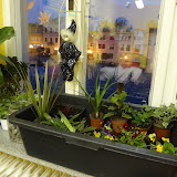 Průzkumník: dílna -Minizahrádka<br /> </span></span></span></span></span>25. 10. 2012