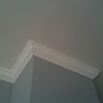 IMG_2584.JPG