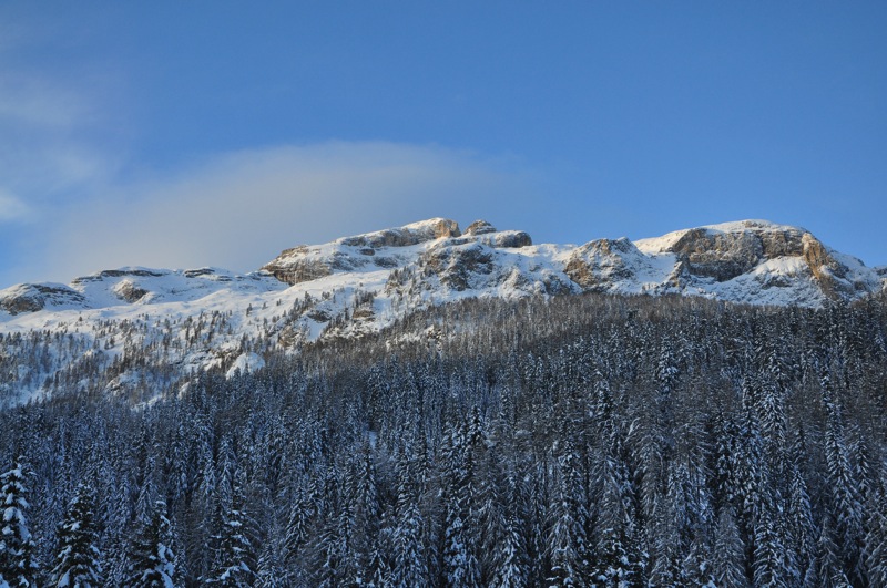 DSC_5946.JPG DSC 5946