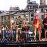 ASD IPA Rock Contest