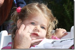 IMG_1455 IMG_1455