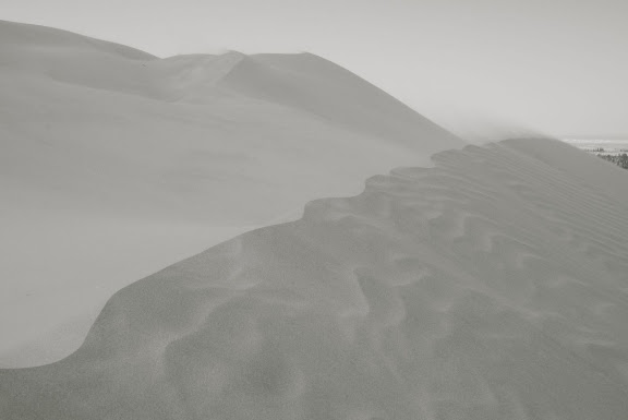 Dunes - voile de sable