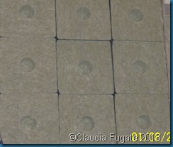 100_1687 100_1687