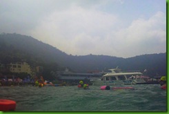 IMG_0390 IMG_0390