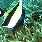 IMG_1775.JPG
