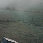DSC_8531.JPG