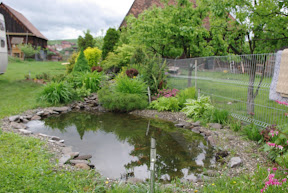FŐOLDAL: http://www.gardenproiect.ro