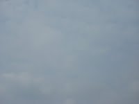 DSCN0157.JPG