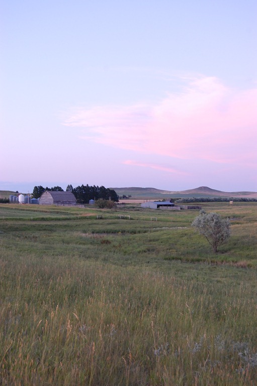 [DSC_0033%255B4%255D.jpg]
