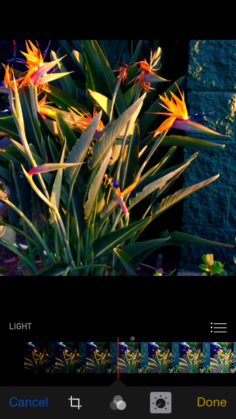 iOS 8 photos app Light