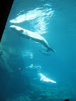 IMG_0080.JPG