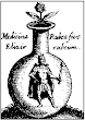 The Red Rose From Pretiosissimum Donum Dei
