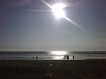 IMG00633-20100129-1532.jpg