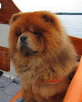 Sailing the high seas is fun but also requires some skill!  I'm honored to be Captain Martha's first mate on this expedition.