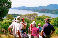 NZD2-11_JK_705.jpg