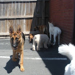 DSCN5068.jpg