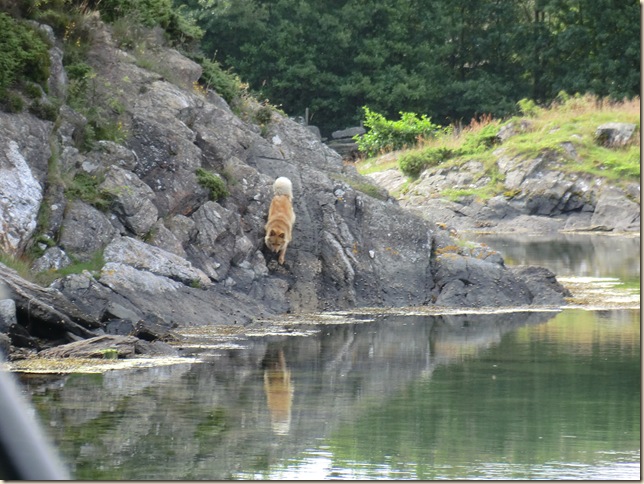 juli 2011 Sola og båtur 107