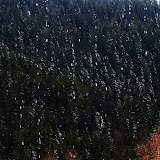 IMG_0075.JPG